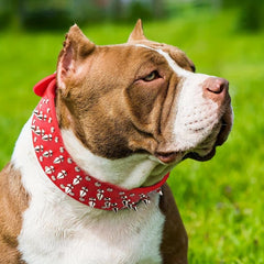 Adjustable Punk Style Rivet Leather Collar For Dogs