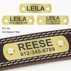Personalized Leather Dog Collar for Small, Medium, Large Dogs