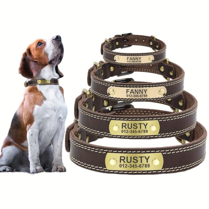 Personalized Leather Dog Collar for Small, Medium, Large Dogs