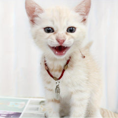 Pet ID Tags Dog Pendants Dog Tag Cat Hanging Collar Tag