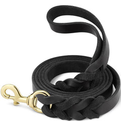 Taglory 6ft Leather Pet Leash - Upgrade Your Walks!