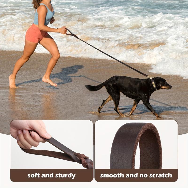 Taglory 6ft Leather Pet Leash - Upgrade Your Walks!