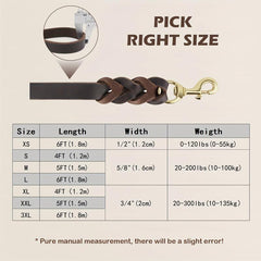 Taglory 6ft Leather Pet Leash - Upgrade Your Walks!