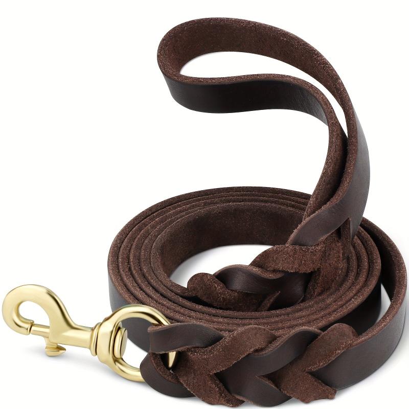 Taglory 6ft Leather Pet Leash - Upgrade Your Walks!
