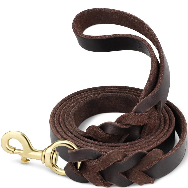 Taglory 6ft Leather Pet Leash - Upgrade Your Walks!