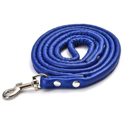Stylish Faux Leather Dog Leash for Training & Walking
