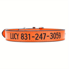 Custom Leather Dog Collar for Any Size Dog