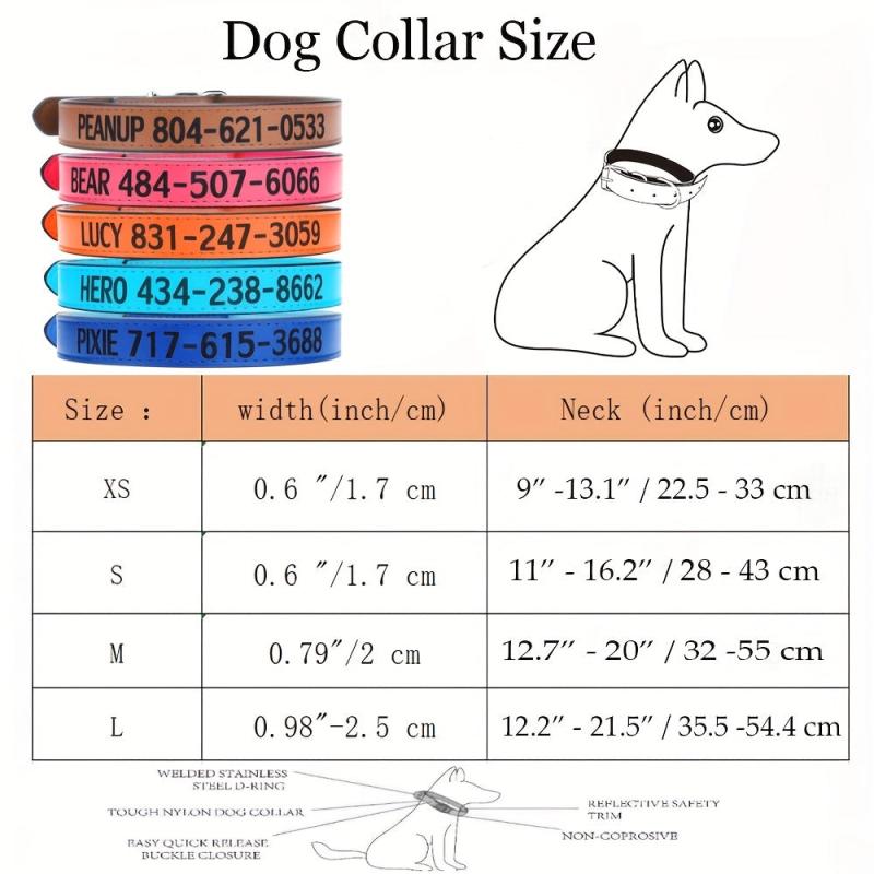 Custom Leather Dog Collar for Any Size Dog