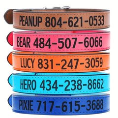 Custom Leather Dog Collar for Any Size Dog
