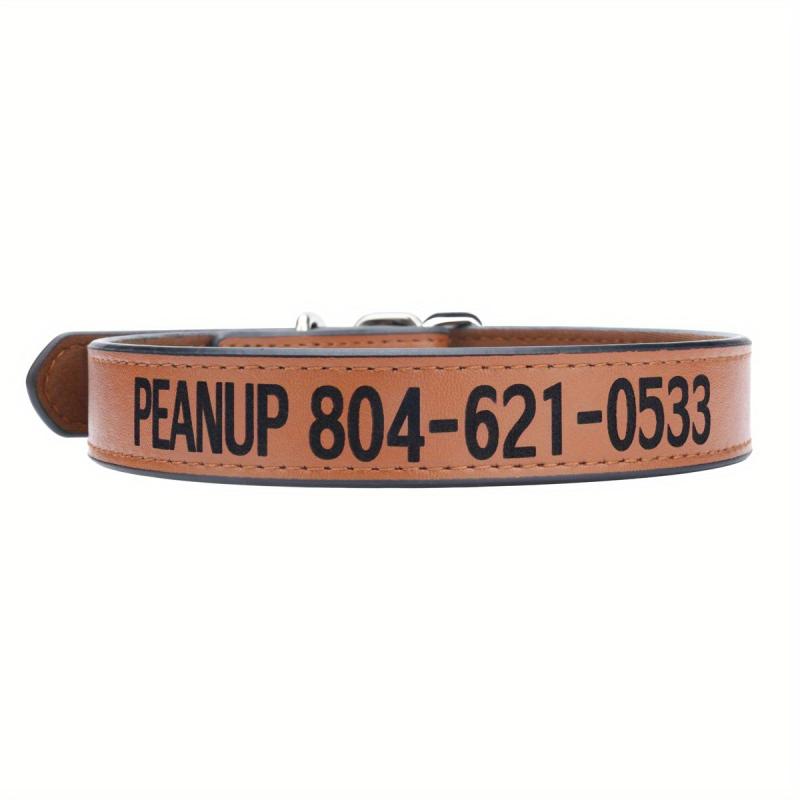 Custom Leather Dog Collar for Any Size Dog