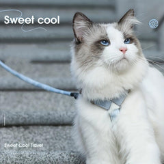 Escape Proof Cat Harness And Leash Set - Soft Adjustable Vest Harness