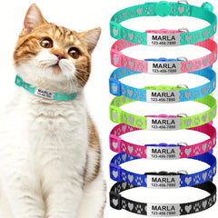 Reflective Cat Collar with Bell and Tag - Keep Your Cat Safe