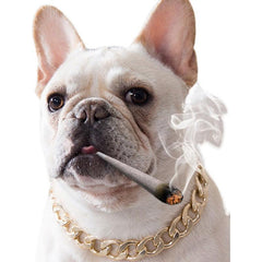 Metal Dog Collar Stylish Pets Durable Chain Dogs Cats Decoration