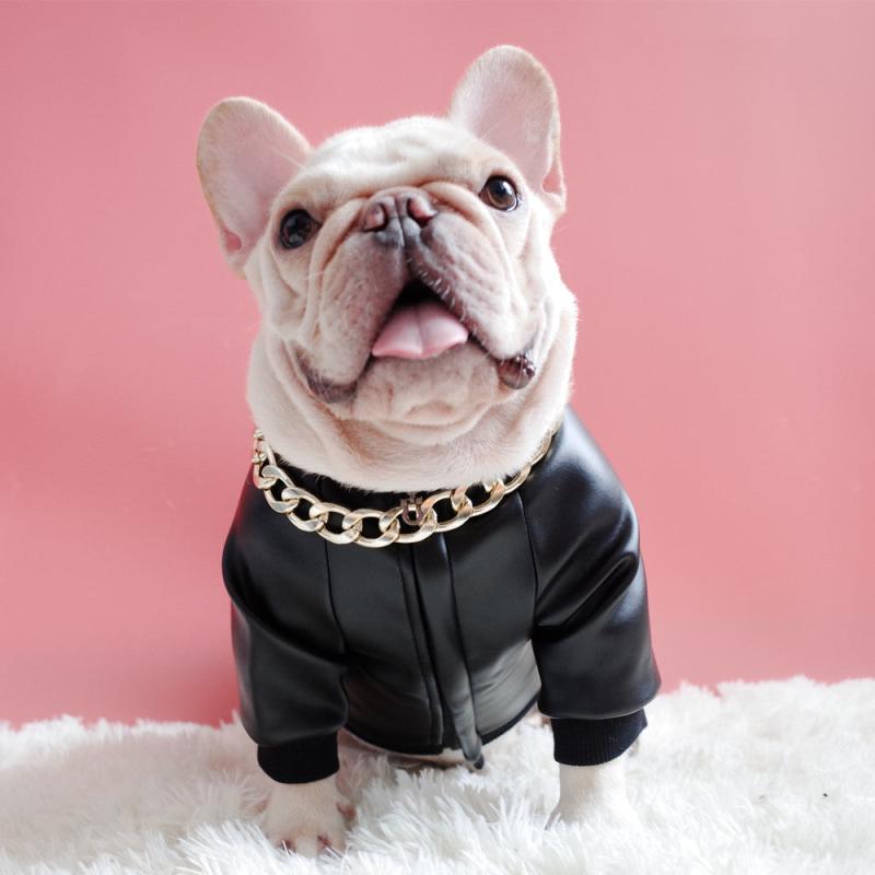 Metal Dog Collar Stylish Pets Durable Chain Dogs Cats Decoration