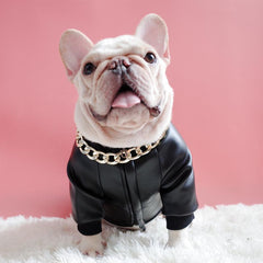 Metal Dog Collar Stylish Pets Durable Chain Dogs Cats Decoration