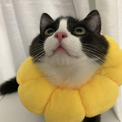 Colorful Sunflower Collar for Pet Safety and Comfort