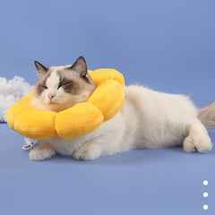 Colorful Sunflower Collar for Pet Safety and Comfort