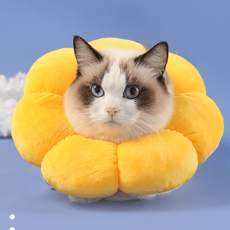 Colorful Sunflower Collar for Pet Safety and Comfort