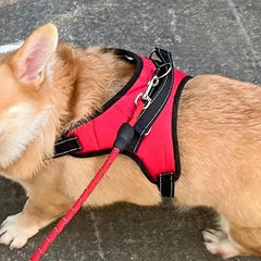 Reflective & Padded Dog Harness with Leash Clips