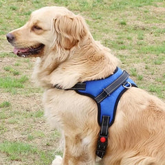 Reflective & Padded Dog Harness with Leash Clips