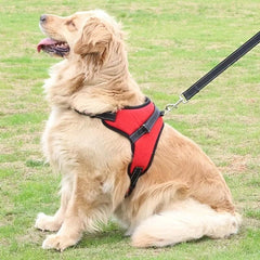 Reflective & Padded Dog Harness with Leash Clips