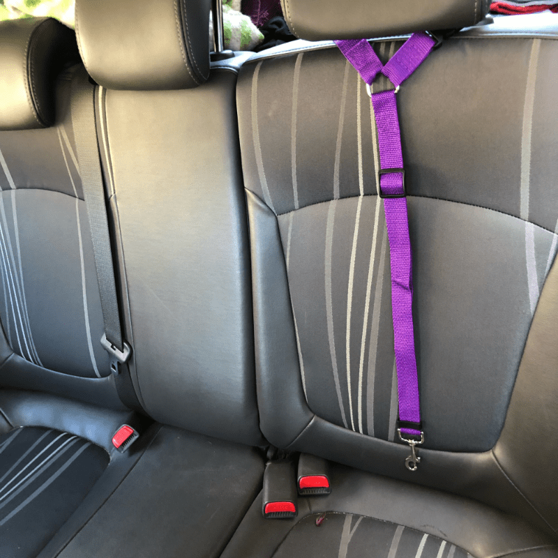 Adjustable Pet Car Seat Belt and Harness for Safe Travels | Dog Harness Collar