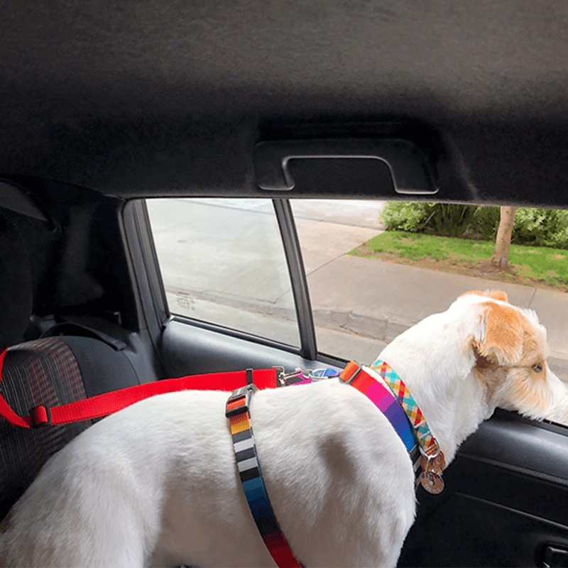 Adjustable Pet Car Seat Belt and Harness for Safe Travels | Dog Harness Collar