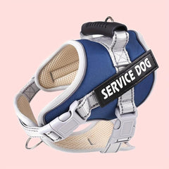 Reflective Pet Harness With Handle for Dogs Walking & Running