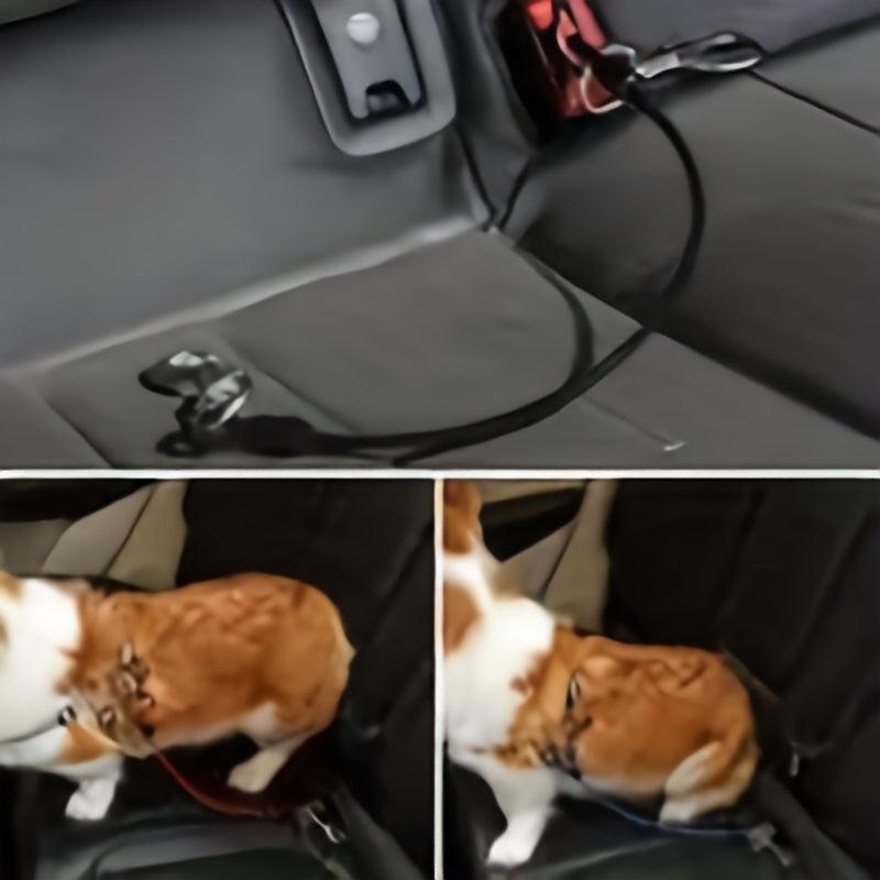 Dog Seat Belt Harness For Car 2pcs Coated Wire Leash Safety Restraint