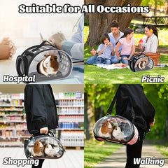 Cat Backpack Transparent Foldable Pet Going Out Bag Portable