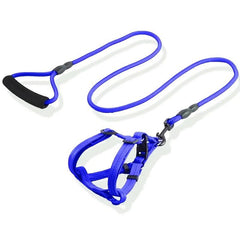 No Pull Pet Harness and Leash Set for Small and Medium Dogs and Cats