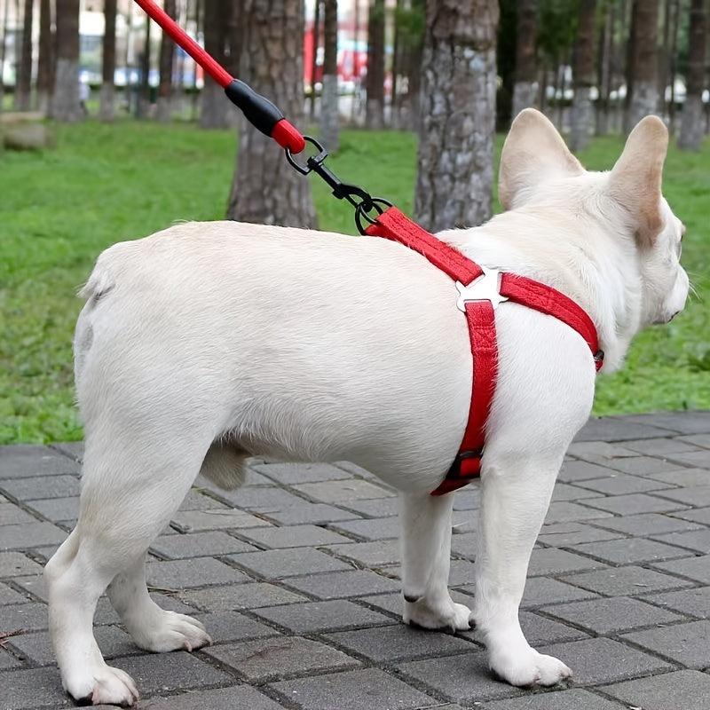 No Pull Pet Harness and Leash Set for Small and Medium Dogs and Cats