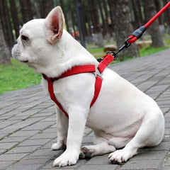No Pull Pet Harness and Leash Set for Small and Medium Dogs and Cats