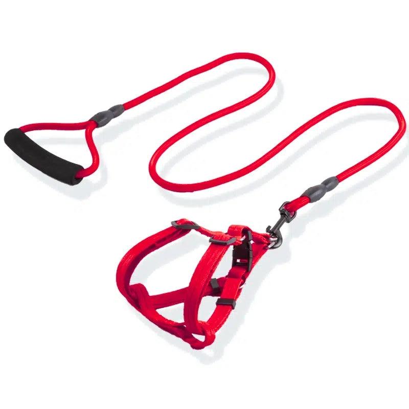 No Pull Pet Harness and Leash Set for Small and Medium Dogs and Cats
