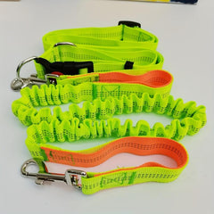 Elastic Nylon Dog Leash for Running, Walking - No Arm Strain