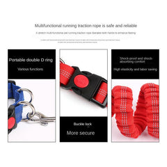 Elastic Nylon Dog Leash for Running, Walking - No Arm Strain