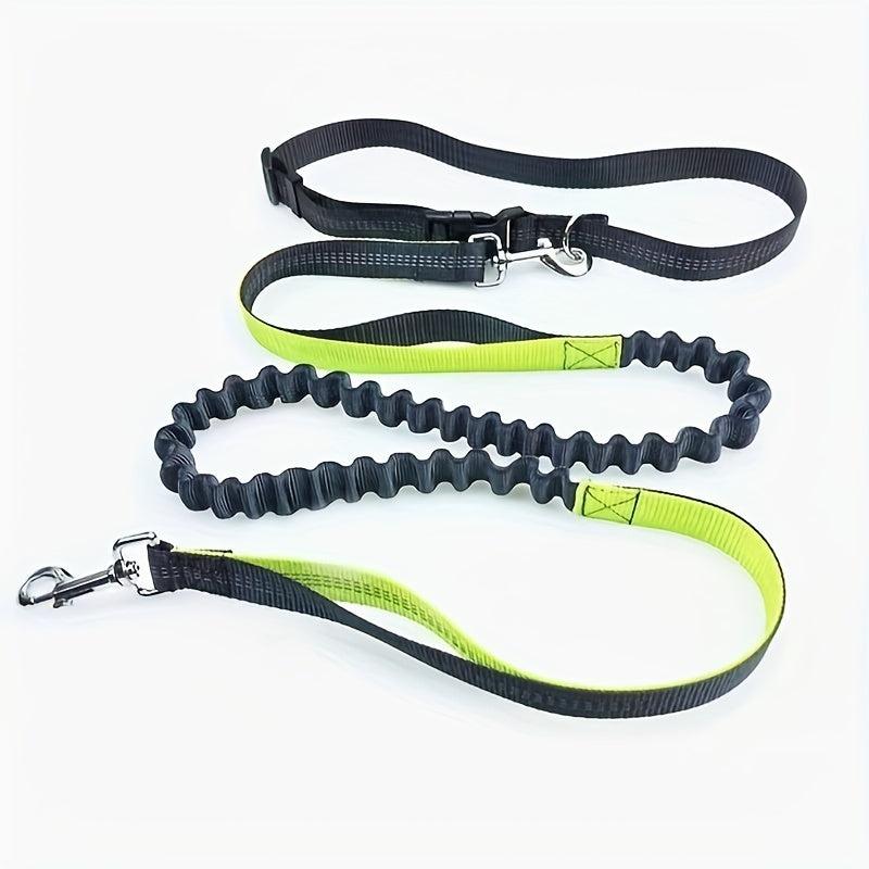 Elastic Nylon Dog Leash for Running, Walking - No Arm Strain