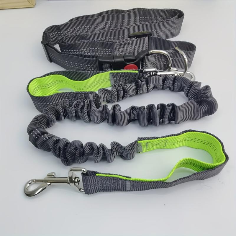 Elastic Nylon Dog Leash for Running, Walking - No Arm Strain