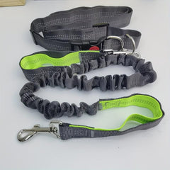 Elastic Nylon Dog Leash for Running, Walking - No Arm Strain