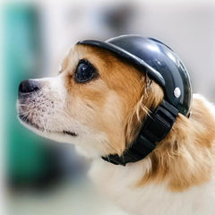 Protective Dog Helmet for Biking - Stylish & Safe