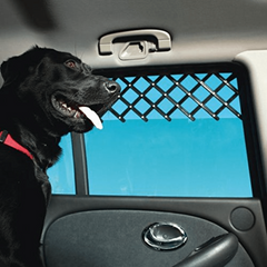 Expandable Dog Window Guard for Car Ventilation