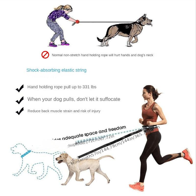 Secure Dog Leash Set for Safe Running, Walking, Hiking, Jogging & Biking
