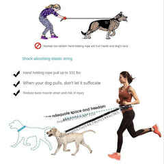 Secure Dog Leash Set for Safe Running, Walking, Hiking, Jogging & Biking