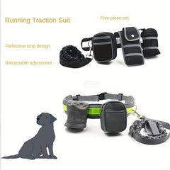 Secure Dog Leash Set for Safe Running, Walking, Hiking, Jogging & Biking