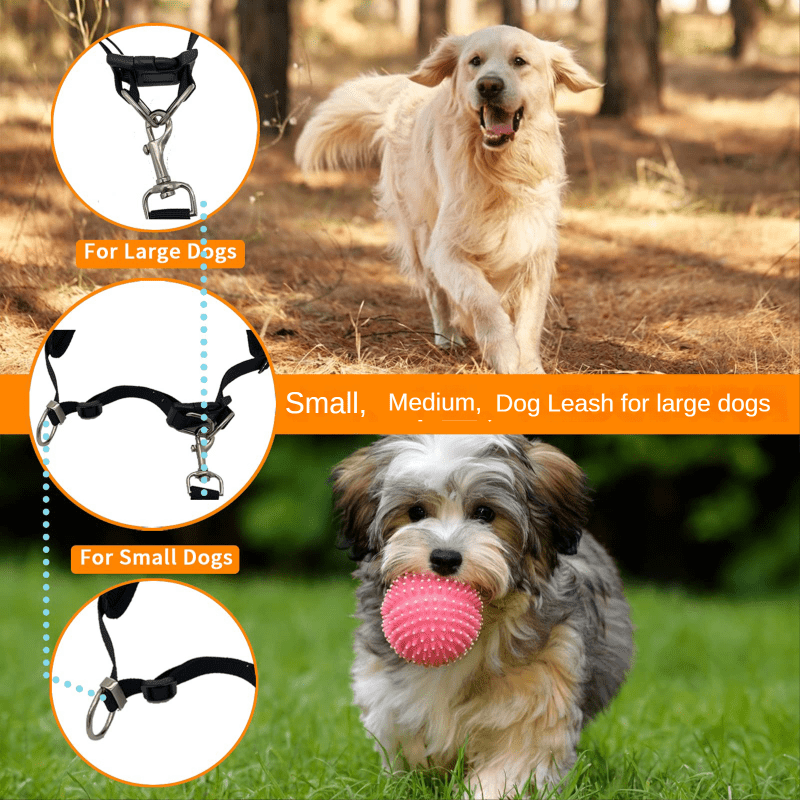 Secure Dog Leash Set for Safe Running, Walking, Hiking, Jogging & Biking