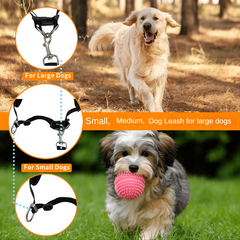 Secure Dog Leash Set for Safe Running, Walking, Hiking, Jogging & Biking
