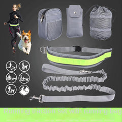 Secure Dog Leash Set for Safe Running, Walking, Hiking, Jogging & Biking