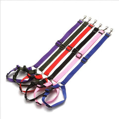 2pcs Dog Car Seat Belt Safety Rope Headrest Leash for Small Medium Dogs