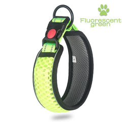 Luminous Dog Leash Collar Anti-Loosening High Quality