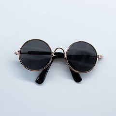 Chic Pet Glasses for Your Stylish Cat or Puppy